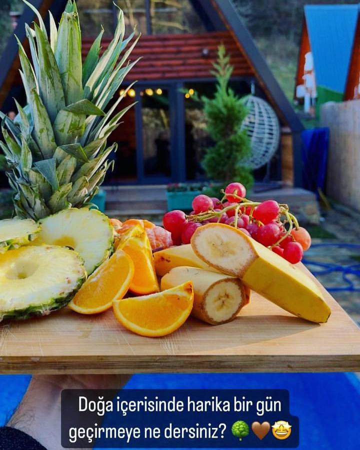 Seyyah Bungalov Sakarya  Exteriér fotografie